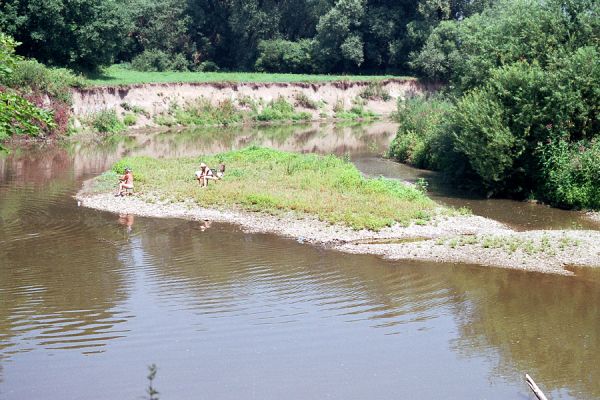 Polanka nad Odrou, řeka Odra, 16.7.2003
Ostrovy, štěrkové a hlinité náplavy na březích Odry. Biotop kovaříků Oedostethus tenuicornis a Zorochros dermestoides.
Schlüsselwörter: Polanka nad Odrou Odra Oedostethus tenuicornis Zorochros dermestoides