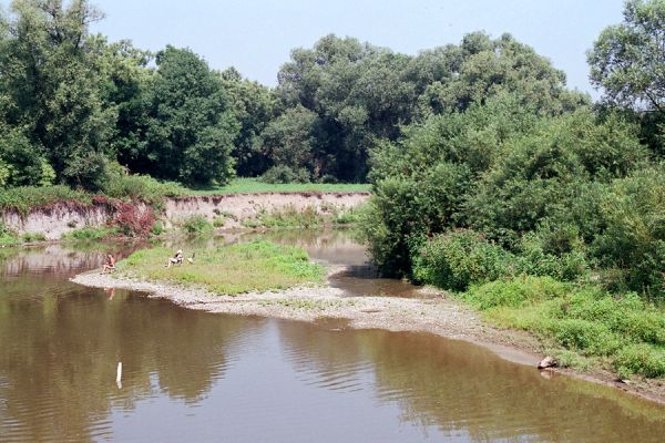 Polanka nad Odrou, řeka Odra, 16.7.2003
Ostrovy, štěrkové a hlinité náplavy na březích Odry. Biotop kovaříků Oedostethus tenuicornis a Zorochros dermestoides.
Klíčová slova: Polanka nad Odrou Odra Oedostethus tenuicornis Zorochros dermestoides