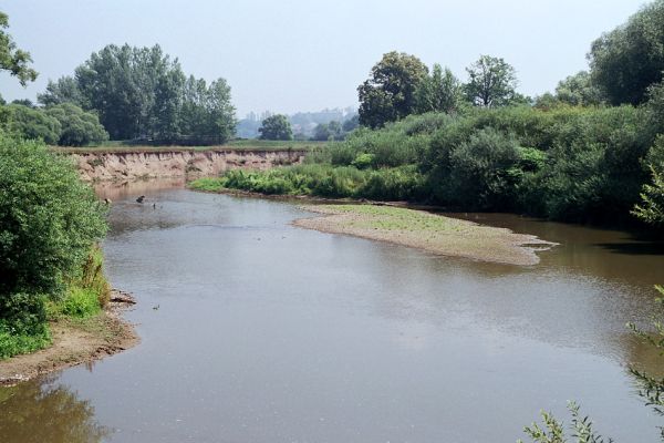 Polanka nad Odrou, řeka Odra, 16.7.2003
Ostrovy, štěrkové a hlinité náplavy na březích Odry. Biotop kovaříků  Oedostethus tenuicornis a Zorochros dermestoides.
Keywords: Polanka nad Odrou Odra Oedostethus tenuicornis Zorochros dermestoides