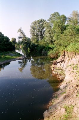 Polanka nad Odrou, řeka Odra, 17.7.2007
Jeden z nesčetných meandrů Odry u Polanky nad Odrou. 
Klíčová slova: Polanka nad Odrou Odra Oedostethus tenuicornis