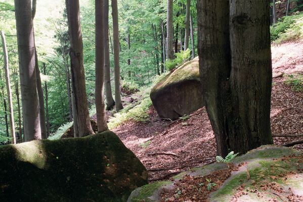 Křinice, 30.5.2004
Laudonovy valy.



Klíčová slova: Křinice Laudonovy valy
