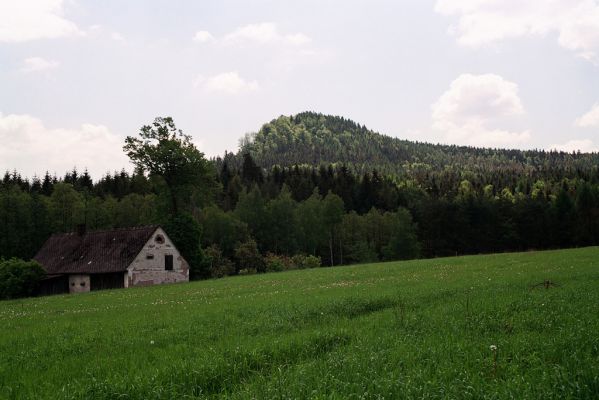 Březová, 30.5.2004
Pohled od Březové na Honský Špičák.
Keywords: Březová Honský Špičák Cteniceta cuprea pectinicornis