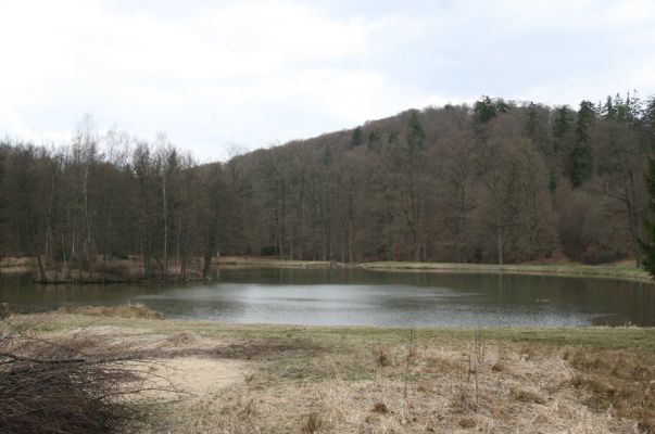 Hluboká nad Vltavou, Poněšice, 1.4.2011
Nová obora, vrch Hradec. Pohled od Spáleného rybníka.
Klíčová slova: Hluboká nad Vltavou Poněšice Nová obora Libochovka Hradec