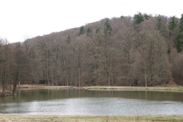 Hluboká nad Vltavou, Poněšice, 1.4.2011
Nová obora, vrch Hradec. Pohled od Spáleného rybníka. 
Klíčová slova: Hluboká nad Vltavou Poněšice Nová obora Libochovka Hradec