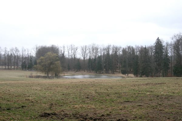 Hluboká nad Vltavou, Poněšice, 1.4.2011
Nová obora, rybníček u hájovny Cirhan.
Keywords: Hluboká nad Vltavou Poněšice Nová obora Cirhan