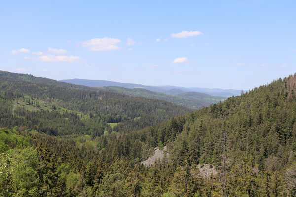 Nicov, Popelná, 31.5.2023
Obří hrad - suťové pole.
Keywords: Šumava Nicov Popelná Obří hrad Anostirus sulphuripennis