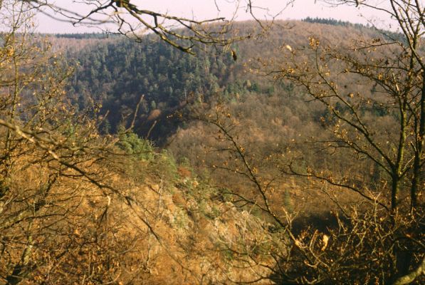 Sedlec, 11.11.1989
Pohled z Vlčího Kopce na svahy u zříceniny hradu Lemberk.
Mots-clés: Sedlec Vlčí Kopec Lemberk