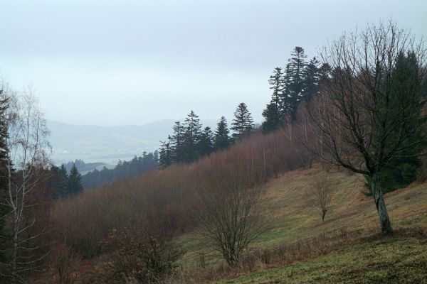 Poteč, 23.11.2003
Zarůstající pastviny pod horským hřbetem. Pohled na jedlové lesy.
Mots-clés: Bílé Karpaty Poteč Ploštiny