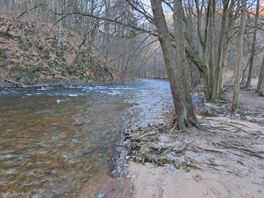 Potštejn, 10.1.2024
Divoká Orlice - Anenské údolí.
Schlüsselwörter: Potštejn