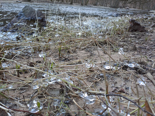 Potštejn, 10.1.2024
Divoká Orlice - Anenské údolí.
Keywords: Potštejn