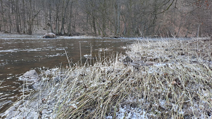 Potštejn, 10.1.2024
Divoká Orlice - Anenské údolí.
Schlüsselwörter: Potštejn