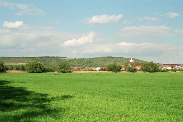 Pouzdřany, 12.5.2005
Pohled přes Pouzdřany na rezervaci Pouzdřanská step - Kolby.
Klíčová slova: Pouzdřany Pouzdřanská step Kolby