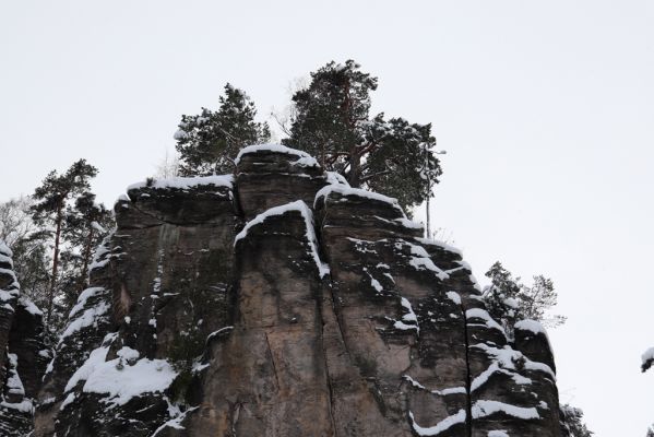 Holín, 14.1.2021
Prachovské skály, Horní Lochov, Zadní Točenice.
Klíčová slova: Holín Horní Lochov Prachovské skály Zadní Točenice