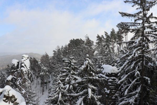 Holín, 14.1.2021
Prachovské skály, Horní Lochov, Hlaholská vyhlídka.
Mots-clés: Holín Horní Lochov Prachovské skály Hlaholská vyhlídka