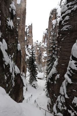 Holín, 14.1.2021
Prachovské skály, Horní Lochov, Zadní Točenice.
Klíčová slova: Holín Horní Lochov Prachovské skály Zadní Točenice