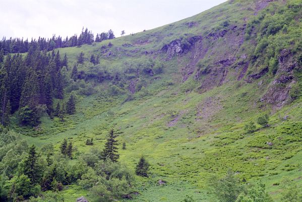 Hrubý Jeseník, Vysoká hole, 12.6.2002
Velký kotel.



Klíčová slova: Karlov pod Pradědem Hrubý Jeseník Velký kotel