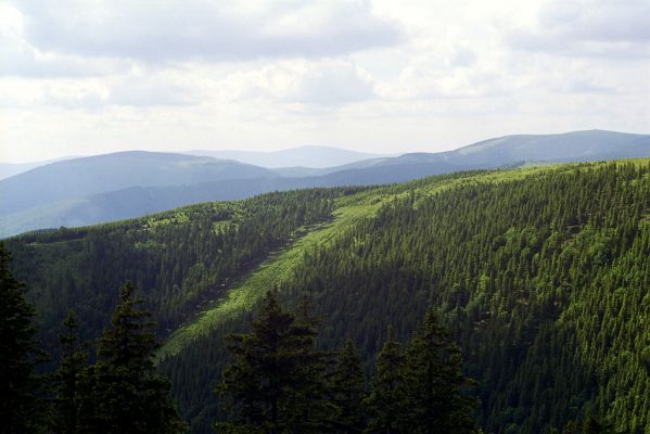 Hrubý Jeseník, Medvědí hřbet, 12.6.2002
Pohled přes Červenohorské sedlo na Králický Sněžník.
Klíčová slova: Hrubý Jeseník Medvědí hřbet Králický Sněžník