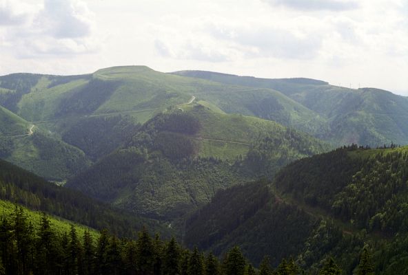 Hrubý Jeseník, Medvědí hřbet, 12.6.2002
Pohled od Švýcárny na Dlouhé Stráně.
Keywords: Loučná nad Desnou Hrubý Jeseník Dlouhé Stráně Mravenečník