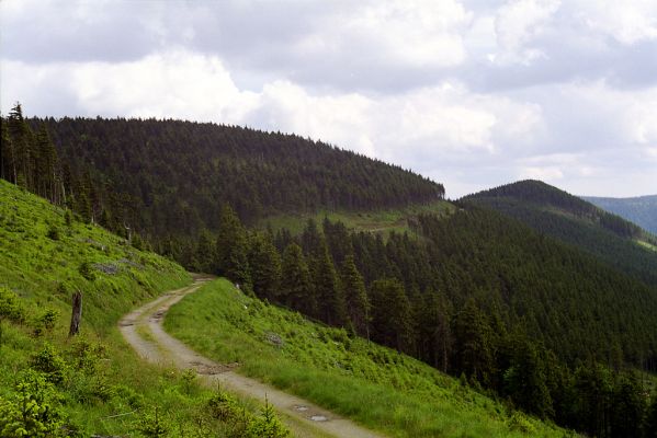 Hrubý Jeseník, Medvědí hřbet, 12.6.2002
Cesta od Švýcárny na Medvědí hřbet. Biotop kovaříka Orithales serraticornis.
Schlüsselwörter: Loučná nad Desnou Hrubý Jeseník Medvědí hřbet Orithales serraticornis