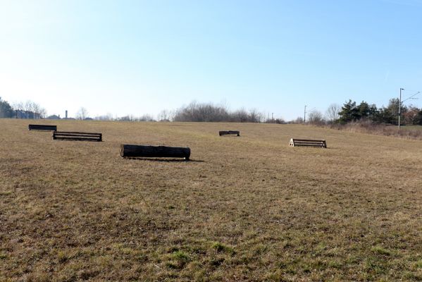 Praskačka, 18.2.2019
Příležitostná jízdárna u železniční trati.
Keywords: Praskačka jízdárna