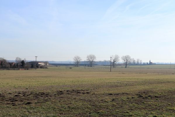 Praskačka, Sedlice, 18.2.2019
Pohled na pastviny u kravína v Sedlicích.
Klíčová slova: Praskačka Sedlice pastvina
