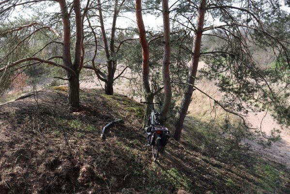 Praskačka, 20.3.2020
Motokrosový areál u železniční trati.
Schlüsselwörter: Praskačka motokros Cardiophorus erichsoni