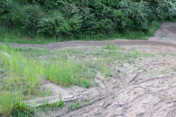 Praskačka, 23.5.2010
Pískovna u železniční trati využívaná jako motokrosový areál. 
Mots-clés: Praskačka pískovna u trati Cardiophorus erichsoni