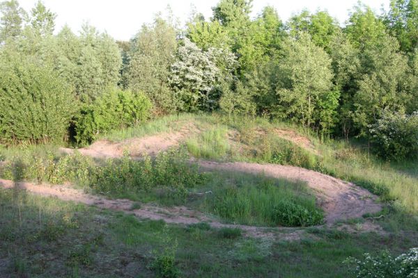 Praskačka, 23.5.2010
Pískovna u železniční trati využívaná jako motokrosový areál. Jižní část. Pohled na písčiny s kostřavami.
Klíčová slova: Praskačka pískovna u trati