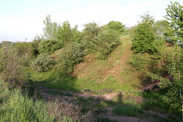 Praskačka, 23.5.2010
Pískovna u železniční trati využívaná jako motokrosový areál. Jižní část.
Klíčová slova: Praskačka pískovna u trati