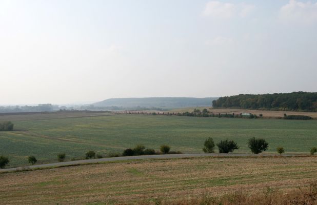 Převýšov - vrch Vinice, 22.9.2009
Pohled do kraje, vpravo les Víno, na obzoru Žehuňská obora.
Schlüsselwörter: Převýšov Víno Žehuňská obora