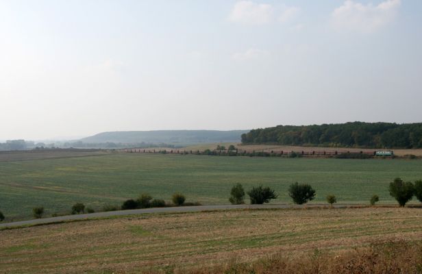 Převýšov - vrch Vinice, 22.9.2009
Pohled do kraje, vpravo les Víno, na obzoru Žehuňská obora.
Klíčová slova: Převýšov Víno Žehuňská obora