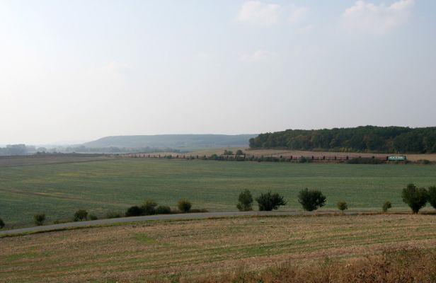 Převýšov - vrch Vinice, 22.9.2009
Pohled do kraje, vpravo les Víno, na obzoru Žehuňská obora.
Schlüsselwörter: Převýšov Víno Žehuňská obora