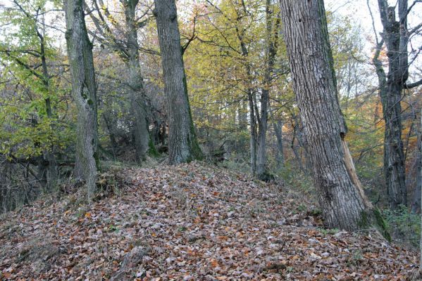 Slovenská Lupča, 27.10.2010
Príboj.
Mots-clés: Slovenská Lupča Príboj