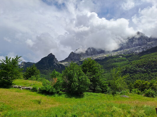 Bogë, 27.6.2024
Údolí nad Bogë.
Keywords: Skadar Prokletije Bogë Porthmidius gelineki