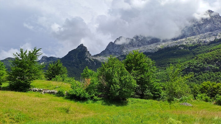 Bogë, 27.6.2024
Údolí nad Bogë.
Keywords: Skadar Prokletije Bogë Porthmidius gelineki