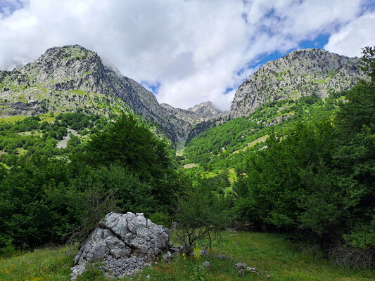 Bogë, 27.6.2024
Údolí nad Bogë.
Keywords: Skadar Prokletije Bogë Porthmidius gelineki