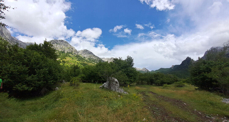 Bogë, 27.6.2024
Údolí nad Bogë.
Schlüsselwörter: Skadar Prokletije Bogë Porthmidius gelineki