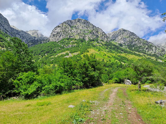 Bogë, 27.6.2024
Údolí nad Bogë.
Schlüsselwörter: Skadar Prokletije Bogë Porthmidius gelineki