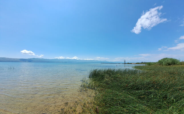 Omaraj, 28.6.2024
Skadarské jezero a pohoří Rumija.
Klíčová slova: Skadar Skadarské jezero Omaraj