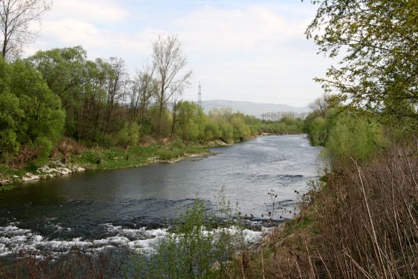 Prosenice - řeka Bečva, 17.4.2009
Místo živé řeky umělý kanál - bohužel, takto vypadá většina českých a moravských řek. 
Klíčová slova: Radslavice Prosenice Bečva