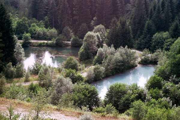 Puch - Kras, 9.7.2003
Chovná pstruhová jezírka východně od obce Puch. Vrby a olše na jejich hrázích hostí kovaříky Adrastus lacertosus a Betarmon bisbimaculatus.
Klíčová slova: Puch Adrastus lacertosus Betarmon bisbimaculatus