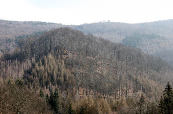 Vysoká Pec, Pyšná, 21.3.2012
Pohled od Pyšné na suťové lesy Zámeckého vrchu. Nenechavé ruce lesních ničitelů se nezastaví před ničím. 
Keywords: Krušné hory Vysoká Pec Pyšná Zámecký vrch Nový Žeberk