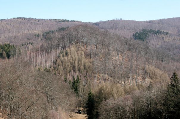 Vysoká Pec, Pyšná, 21.3.2012
Pohled od Pyšné na suťové lesy Zámeckého vrchu. Nenechavé ruce lesních ničitelů se nezastaví před ničím. 
Klíčová slova: Krušné hory Vysoká Pec Pyšná Zámecký vrch Nový Žeberk