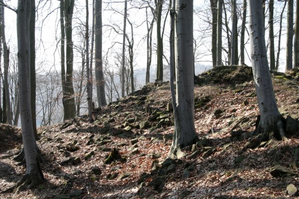 Vysoká Pec, Pyšná, 21.3.2012
Vrcholové partie Zámeckého vrchu.
Klíčová slova: Krušné hory Vysoká Pec Pyšná Zámecký vrch Nový Žeberk