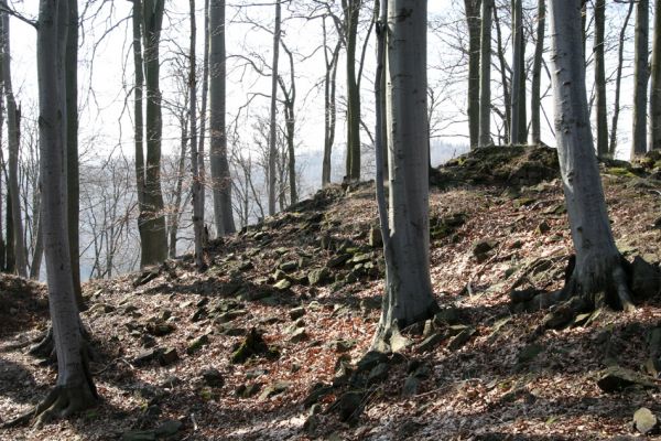 Vysoká Pec, Pyšná, 21.3.2012
Vrcholové partie Zámeckého vrchu.
Keywords: Krušné hory Vysoká Pec Pyšná Zámecký vrch Nový Žeberk