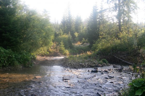 Rabčice, 29.7.2018
Meandry Bystré - brod.
Klíčová slova: Orava Rabčice řeka Bystrá