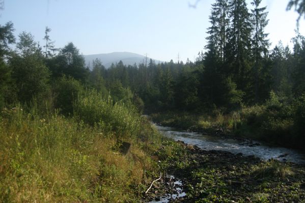 Rabčice, 29.7.2018
Meandry Bystré.
Mots-clés: Orava Rabčice řeka Bystrá Babia hora