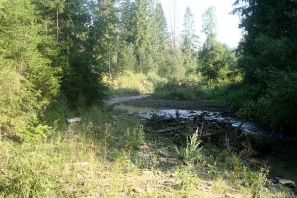 Rabčice, 29.7.2018
Meandry Bystré.
Klíčová slova: Orava Rabčice řeka Bystrá