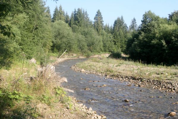 Rabčice, 29.7.2018
Meandry Bystré.
Schlüsselwörter: Orava Rabčice řeka Bystrá Zorochros dermestoides