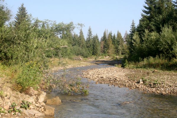 Rabčice, 29.7.2018
Meandry Bystré.
Mots-clés: Orava Rabčice řeka Bystrá